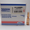 Testosterone Enantato Norma, 250 mg / ml, flacone da 1 ml