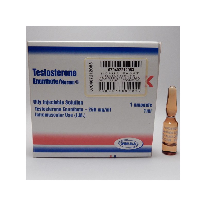 Testosteron Enanthate Norma, 250 mg / ml, 1 ml Fläschchen