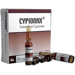 Cypionax Body Research, 200 mg / ml, 1 Ampulle